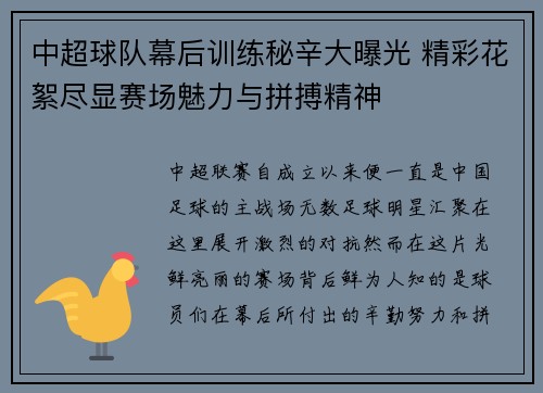 中超球队幕后训练秘辛大曝光 精彩花絮尽显赛场魅力与拼搏精神